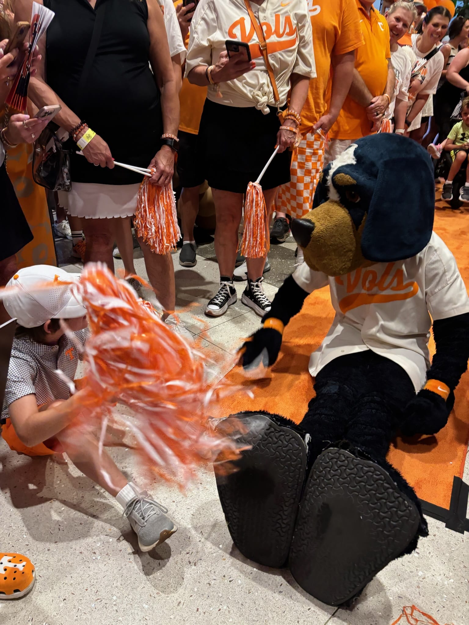 Smokey with little Vol fan