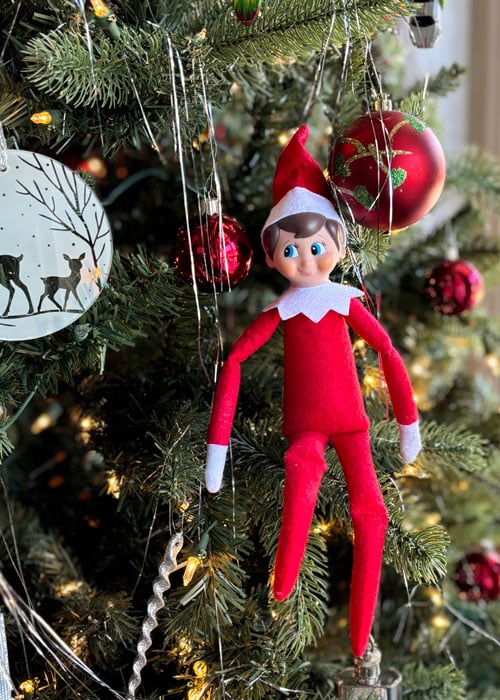 Elf on the Shelf sitting in a evergreen tree