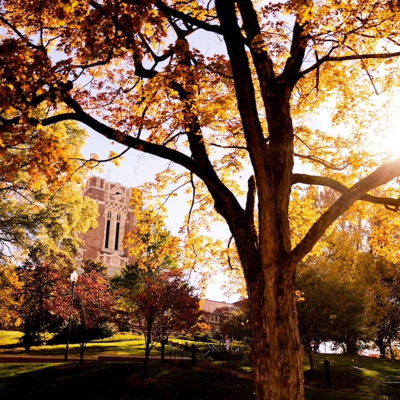 Looking up at Ayers Hall surrounded with fall foliage and the sun shining through the trees.
